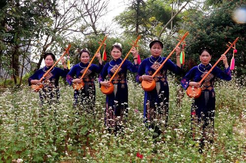 Lễ hội Hoa Tam giác mạch 2026: 'Âm vang miền đá' thắp sáng cao nguyên