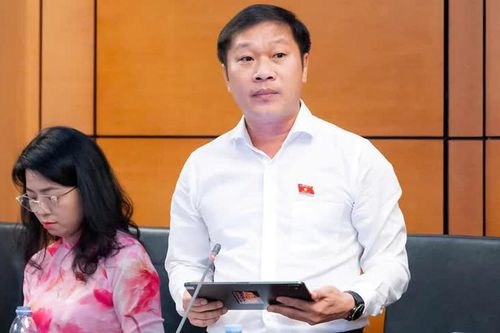 ĐBQH: Mức phạt vi phạm giao thông cần phù hợp với thu nhập người dân