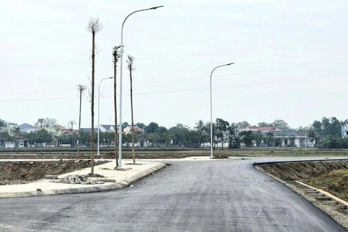 Ninh Bình công bố 22 quy trình giải quyết thủ tục hành chính lĩnh vực đất đai