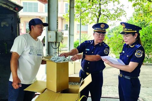 Hải quan khu vực XVII: Tối ưu hóa các giải pháp đồng hành cùng doanh nghiệp xuất nhập khẩu