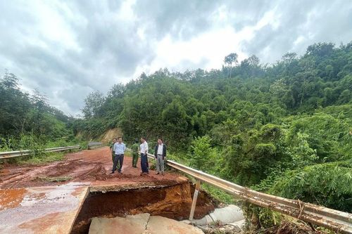 Nguồn lực tài chính cho bảo vệ rừng và khắc phục hậu quả thiên tai