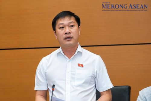 Đại biểu Quốc hội: Mức phạt vi phạm giao thông hiện đã rất cao