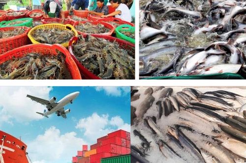 Hiệp định VEFTA, kỳ vọng mở ra cơ hội mới cho ngành thủy sản Việt Nam