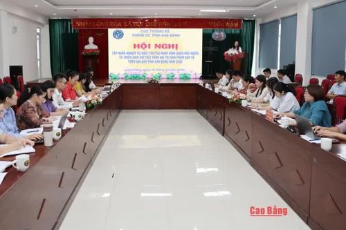 Tập huấn nghiệp vụ điều tra thu nhập bình quân và triển khai chỉ tiêu tổng giá trị sản phẩm