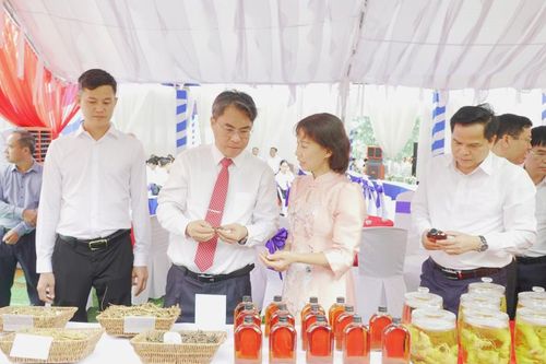 Đẩy nhanh tiến độ, sớm đưa Nhà máy sơ chế, chế biến và sản xuất dược liệu vào hoạt động