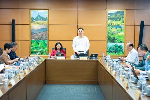 Đoàn đại biểu Quốc hội tỉnh Cà Mau thảo luận, góp ý 3 dự án luật