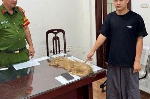 Hé lộ thủ đoạn giả gái trên mạng của Nguyễn Huy Hoàng SN 2005, để trộm tài sản