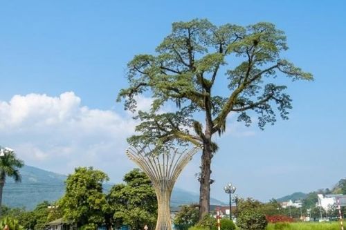 Phường Hà Giang I phát triển hài hòa từ quê ra phố