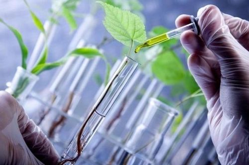 Tuyên Quang thúc đẩy phát triển công nghiệp sinh học trong nông nghiệp và môi trường