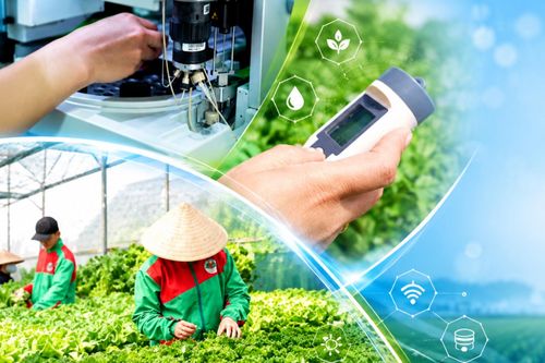 Nông nghiệp Tây Nguyên chuyển mình nhờ dữ liệu công nghệ