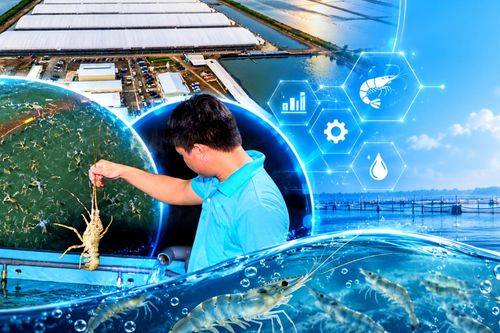 Ứng dụng khoa học công nghệ nâng tầm giá trị kinh tế biển
