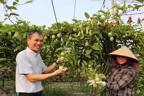 Xây dựng nông thôn mới ở An Khánh thích ứng với nhịp sống đô thị