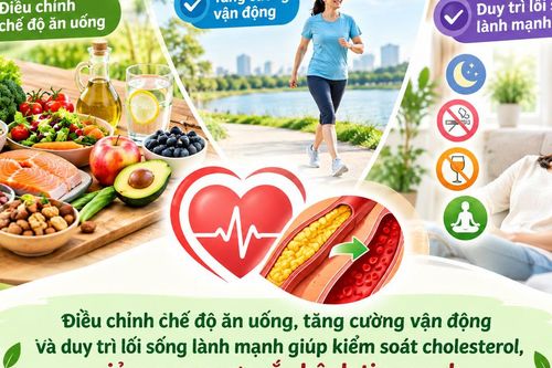 Mách bạn cách giúp giảm cholesterol tự nhiên, bảo vệ sức khỏe tim mạch