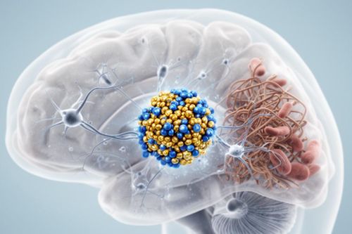 Giải mã loại enzyme tưởng vô hại nhưng khiến não tự kìm hãm phát triển