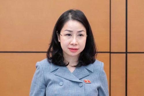 ĐBQH: Cần xem xét xử lý hành vi lừa đảo chiếm đoạt tài sản qua mạng từ khi chuẩn bị phạm tội