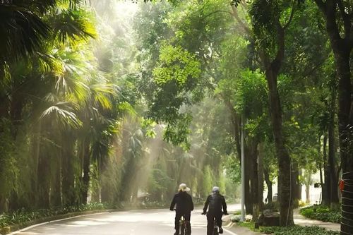 VTV2 mở dải giờ phim tài liệu vào khung giờ vàng