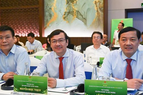 Thu giữ, sử dụng và lưu trữ carbon: Bài toán công nghệ, vốn và chính sách