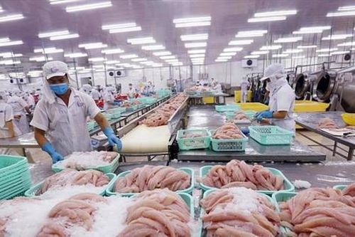 Tận dụng cơ hội từ VEFTA