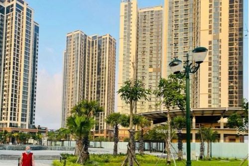 Mua nhà hay mua căn hộ tại Quận 7 (cũ): 5 tiêu chí so sánh và cách tìm tin đăng trên Batdongsan.com.vn