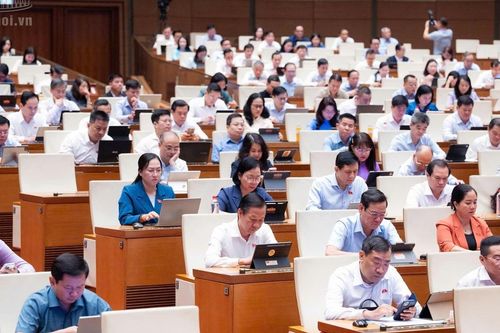 Sửa Bộ luật Hình sự: Đề xuất xác lập một chính sách khoan hồng riêng với người tự nguyện nhận tội