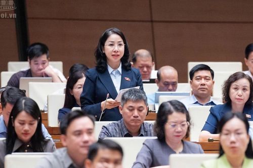 Sửa Bộ luật Hình sự: Đề xuất không lấy chức danh làm chứng cứ buộc tội; ngăn lừa đảo qua mạng từ khâu chuẩn bị