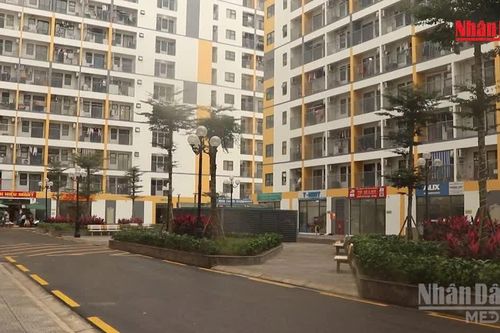 [Video] Đà Nẵng đề xuất hỗ trợ mua nhà ở đến 800 triệu đồng để thu hút nhân tài