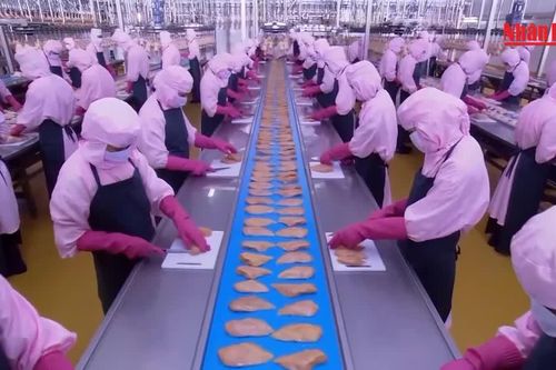[Video] Tăng hỗ trợ doanh nghiệp nâng cao năng suất, chất lượng sản phẩm