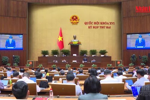 [Video] Quốc hội thảo luận về dự thảo Bộ luật Tố tụng hình sự (sửa đổi)