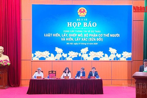 [Video] Bộ Y tế làm rõ đề xuất hiến, ghép mô tạng ở người dưới 18 tuổi
