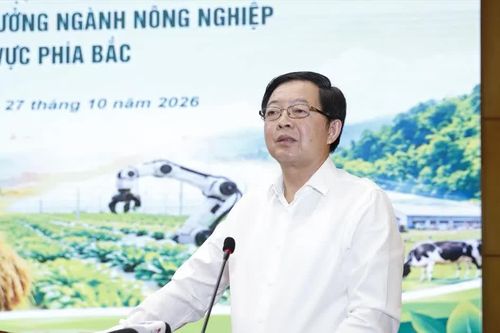 Đề xuất mô hình sàn giao dịch nông sản quốc gia