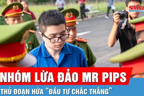 Xét xử nhóm lừa đảo Mr Pips: Từ tin lời hứa 'đầu tư chắc thắng' đến mất hàng tỷ đồng