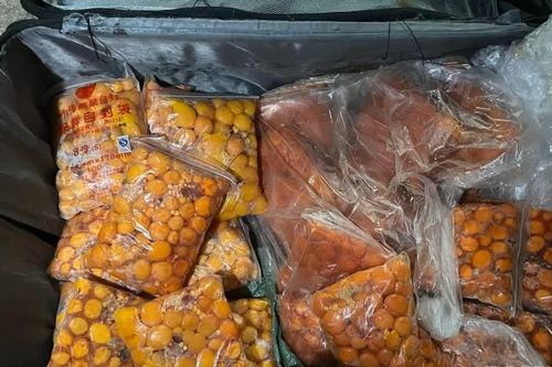 Trứng gà non bốc mùi được giấu trong ba lô, tuồn qua cửa khẩu Lào Cai