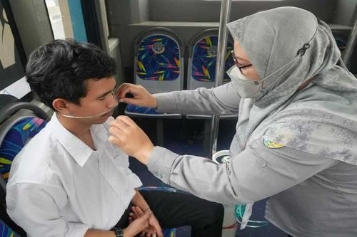 Indonesia triển khai xe buýt oxy hỗ trợ người dân giữa khói mù