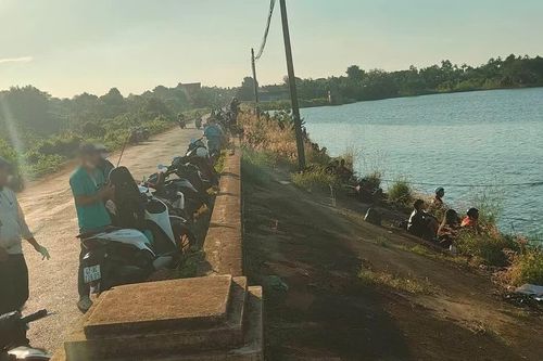 Vỡ lồng bè, 1.000 con cá lăng sổng ra hồ, người dân ùn ùn kéo đến câu