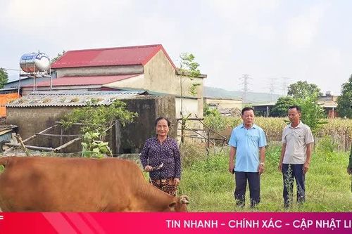 Tạo sinh kế, tiếp sức người dân Kỳ Xuân vươn lên thoát nghèo