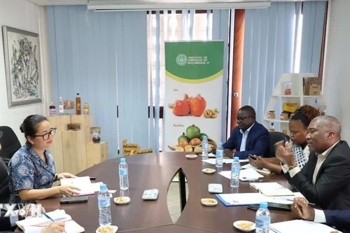 Mozambique coi Việt Nam là đối tác chiến lược hàng đầu trong hợp tác nông nghiệp