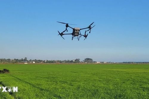 TP Hồ Chí Minh công khai khu vực cấm, hạn chế đối với phương tiện bay không người lái