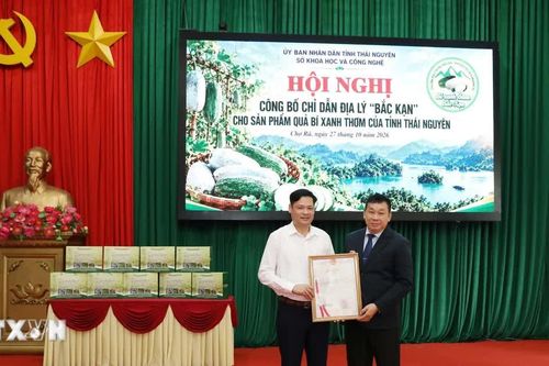 Công bố chỉ dẫn địa lý 'Bắc Kạn' cho sản phẩm bí xanh thơm