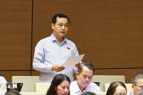 Hoàn thiện quy định về tố tụng điện tử, bảo vệ quyền con người, quyền công dân