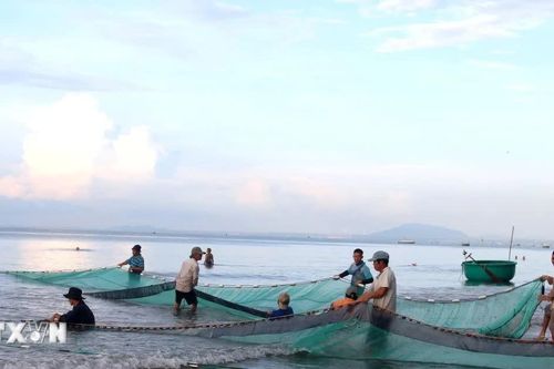 Theo bước chân giật lùi, khám phá nghề kéo lưới rùng của ngư dân biển Mũi Né