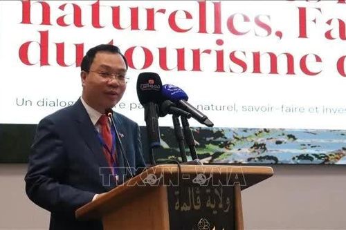 Việt Nam chia sẻ kinh nghiệm phát triển du lịch tắm khoáng nóng