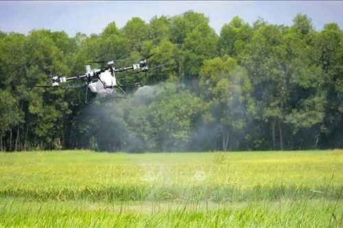 UAV giải bài toán thiếu lao động nông nghiệp