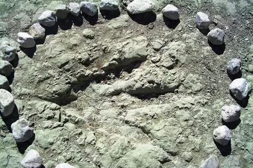 Phát hiện hàng chục dấu chân khủng long 65 triệu năm tuổi tại Mexico