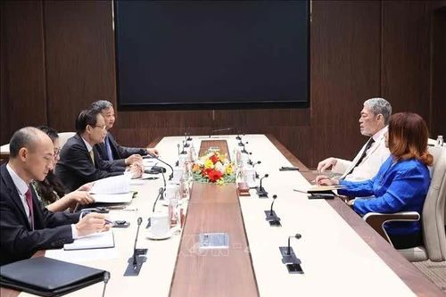 Việt Nam và Dominica thúc đẩy triển khai hiệu quả Thỏa thuận hợp tác giữa hai Đảng