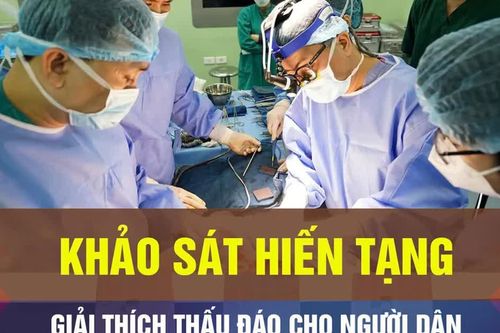 8 GIỜ NGÀY 27-10: Lấy ý kiến trẻ em về hiến tạng, làm sao cho người dân rõ?
