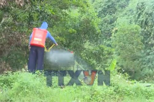Du Già tiếp thu phản ánh của TTXVN, khẩn trương khắc phục ô nhiễm bãi rác Cốc Pảng