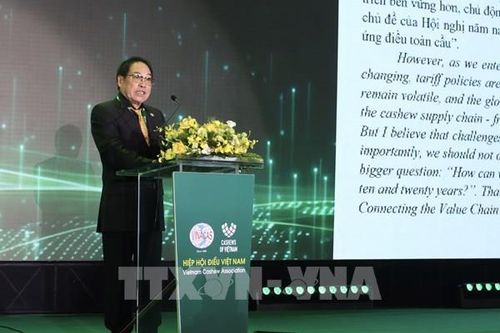 Kết nối, định hình tương lai chuỗi cung ứng hạt điều toàn cầu