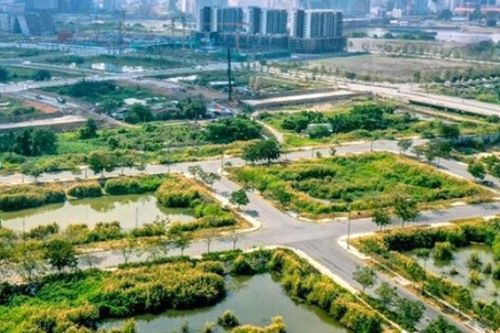 Chào giá tư vấn xác định giá đất tại KCN Tân Bình và khu đất 3.657m² ở Bình Chiểu