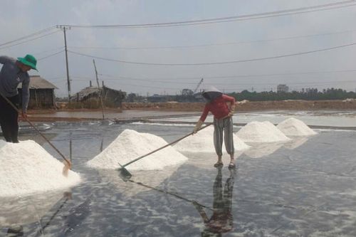 Nâng giá trị hạt muối, giữ sinh kế diêm dân