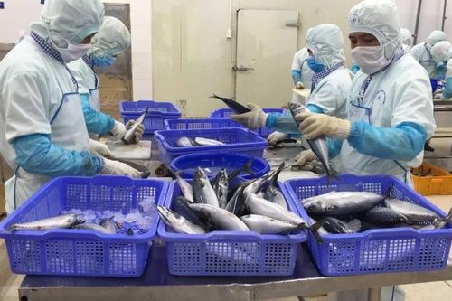 Vốn đắt đỏ bóp nghẹt dư địa tăng trưởng của doanh nghiệp
